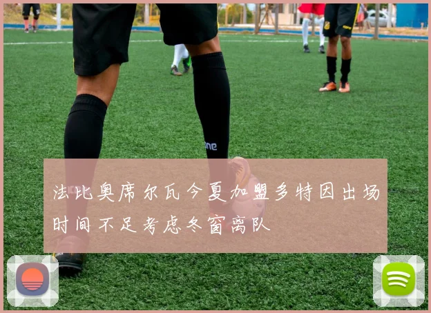 法比奥席尔瓦今夏加盟多特因出场时间不足考虑冬窗离队