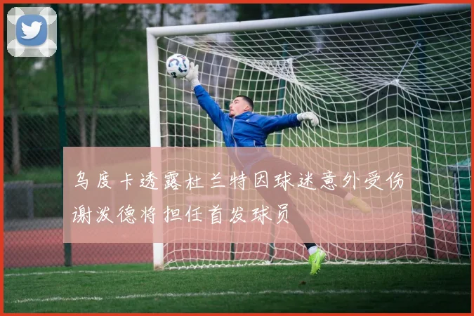 乌度卡透露杜兰特因球迷意外受伤谢泼德将担任首发球员