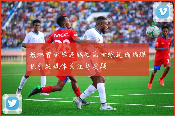 戴琳曾承诺还钱给离世球迷妈妈现状引发媒体关注与质疑